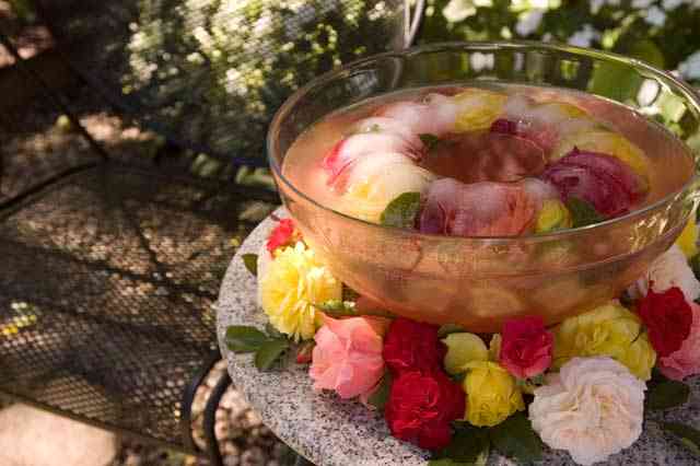 Punch bowl with Easy Elegance rose ice ring