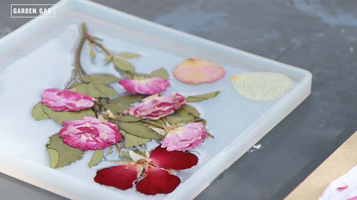 Dried roses in resin